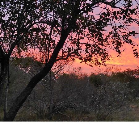 Lion King Villa Marloth Park Luaran gambar