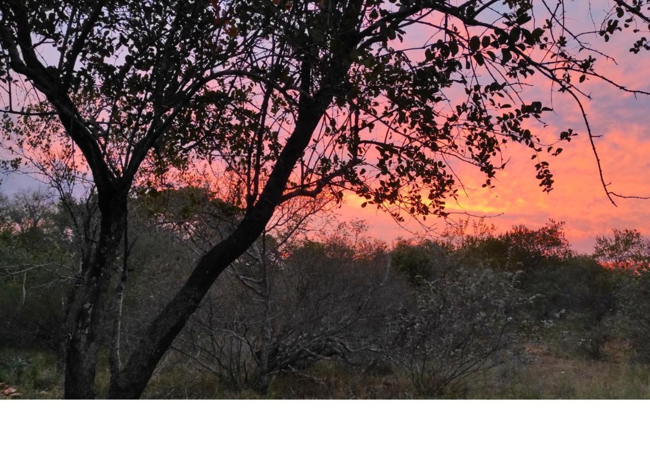 Lion King Villa Marloth Park Luaran gambar