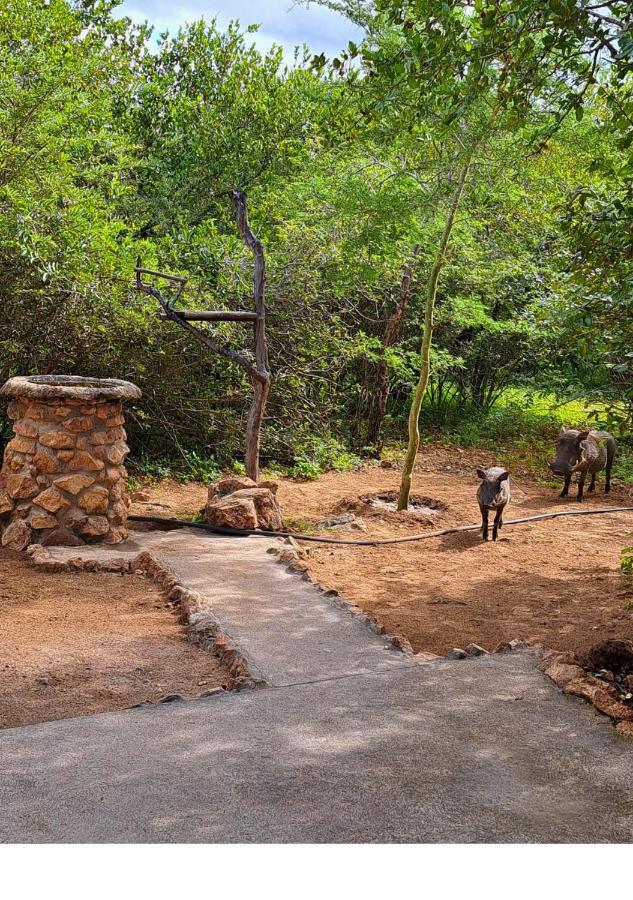 Lion King Villa Marloth Park Luaran gambar