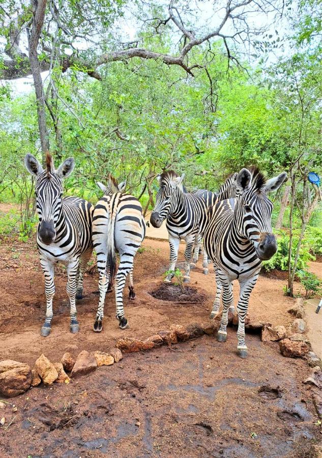 Lion King Villa Marloth Park Luaran gambar