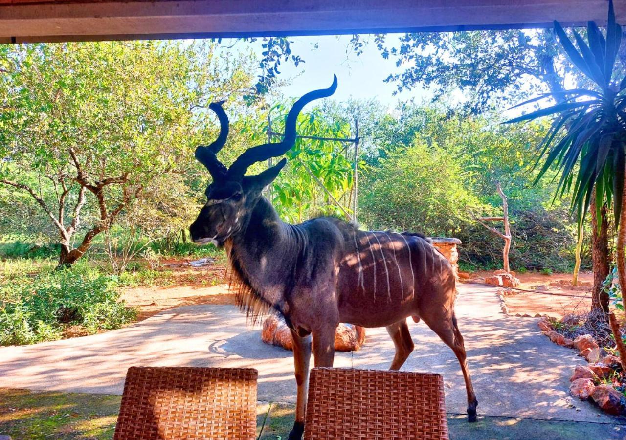 Lion King Villa Marloth Park Luaran gambar