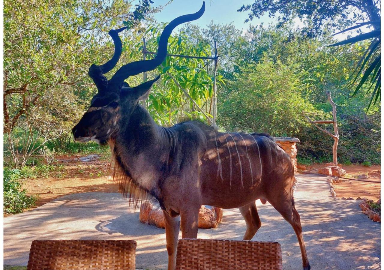 Lion King Villa Marloth Park Luaran gambar