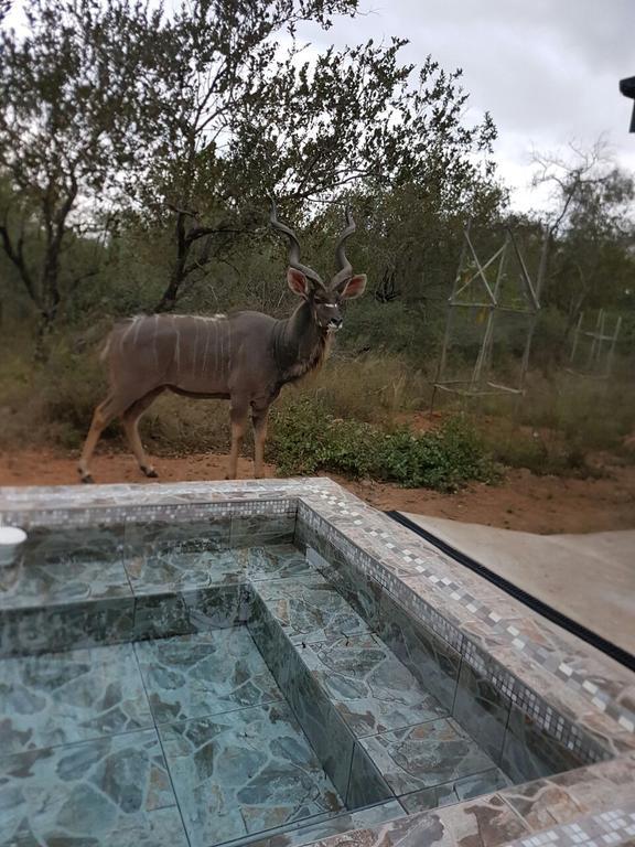 Lion King Villa Marloth Park Luaran gambar