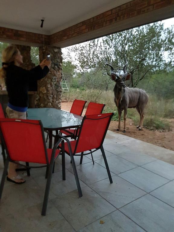 Lion King Villa Marloth Park Luaran gambar